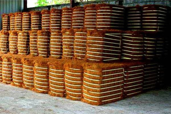 120 kg Coir Fibre Bales
